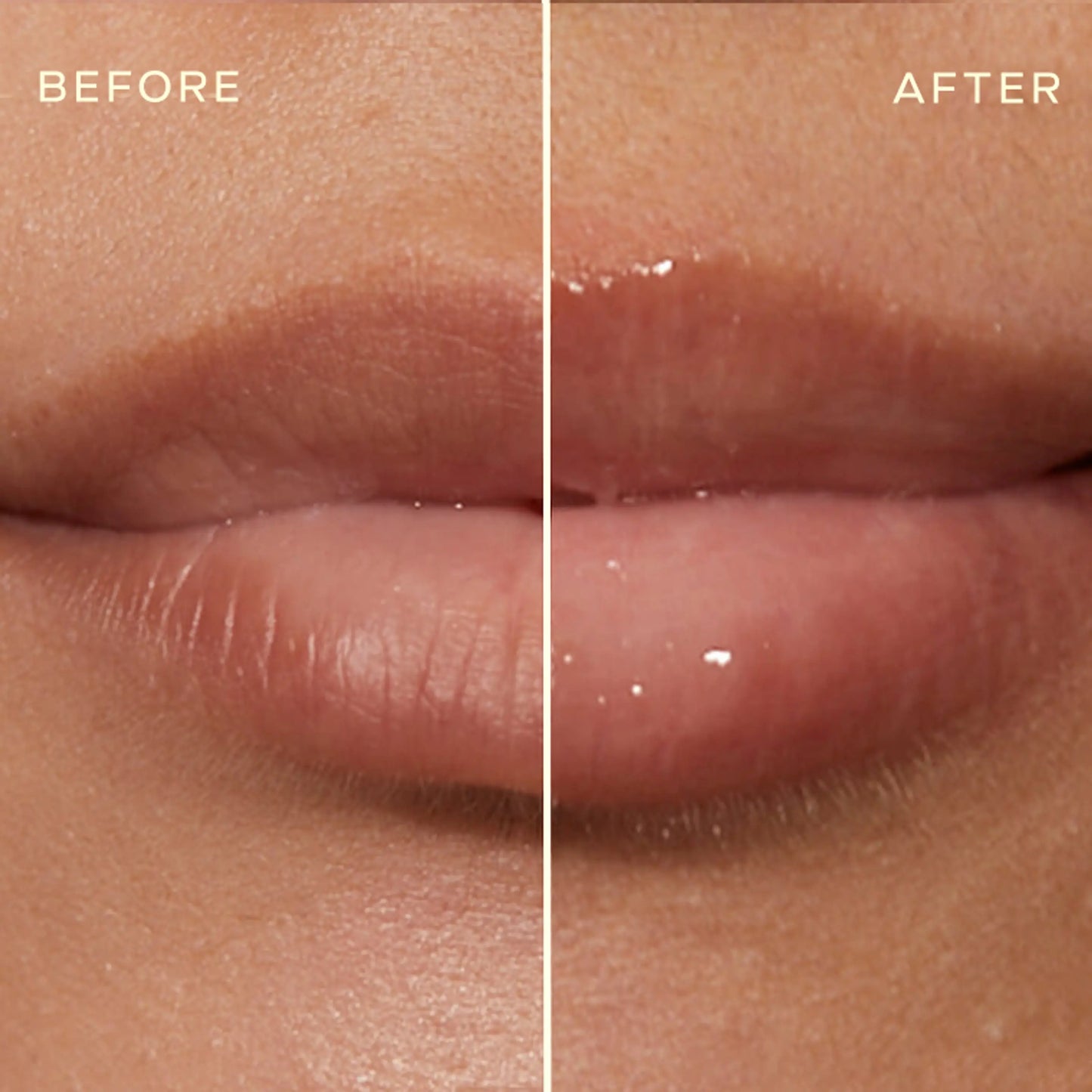 The Lip Plumping and Enhancing Regimen